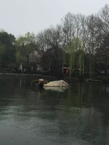 《西湖游记二则》对照翻译及原文阅读