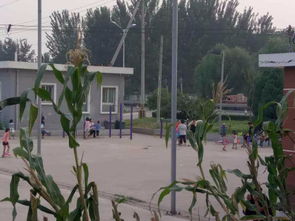 垡怎么读音是什么意思，垡上营村属于哪个镇