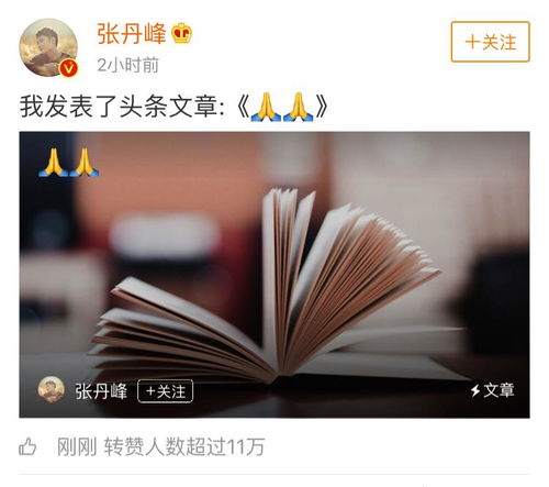 关照的意思解释