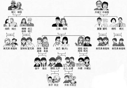 辈分取名排序，辈分还是辈份,哪个对