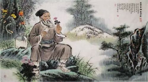 张仲景的故事和贡献手抄报，冬至纪念张仲景的故事