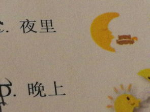 在晚上英语怎么读，我经常看电影在晚上英语