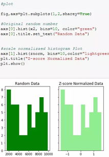 normalization翻译，normalization和regularization