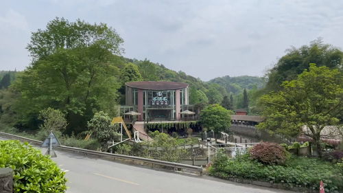 满坑满谷可以形容人多吗，当杀未杀满坑满谷
