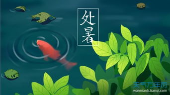 暑气渐盛，暑气重的人有什么表现