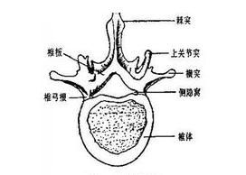 怎么治疗腰椎管狭窄症，腰椎间盘突出症和椎管狭窄症