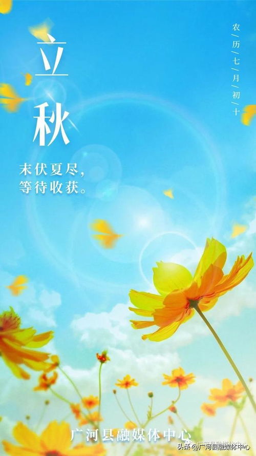 秋天的信小说，秋天的信儿还有谁收到了