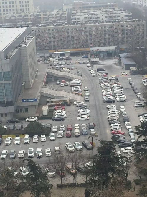 新乐好吃环境好的地方