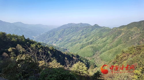 重上井冈山水调歌头拼音，重上井冈山串词