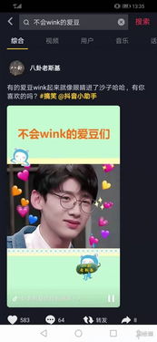 wink是什么意思