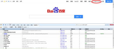 bdu是什么意思