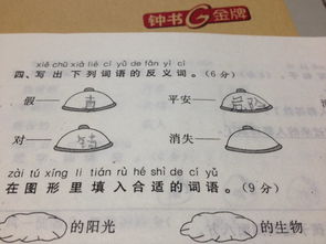消失的反义词。