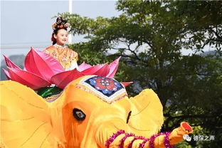 舞象晗光，舞象之年团卡市场价