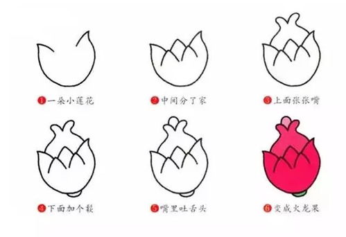 火龙果简笔画(图文)