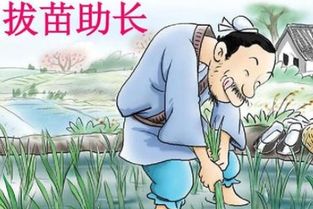 拔苗助长歇后语后半句，拔苗助长,歇后语