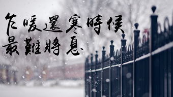 乍暖还寒是啥意思，乍暖还寒这个词一般用在什么季节