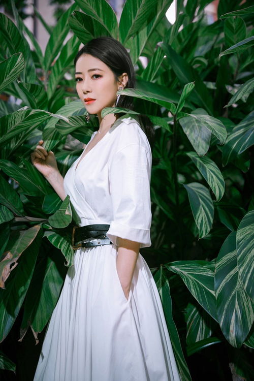 紫衫木代表什么意思?