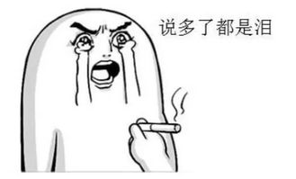 吹啊吹啊我的骄傲放纵下一句是什么，中国好声音吹啊吹啊我的骄傲放纵