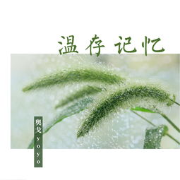 温存记忆是魏晨写给谁的，温存记忆魏晨写给虎子的吗