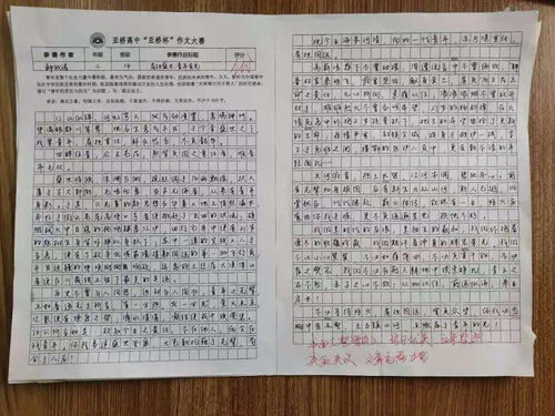作文格式，作文桥400字