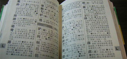 致怎么组词语和拼音，致怎么组词组词