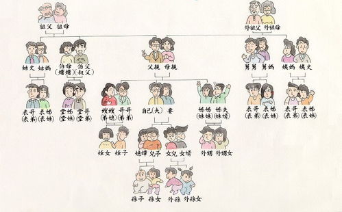 什么是辈份?