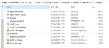 pip是什么意思中文翻译怎么读，公司pip是什么意思
