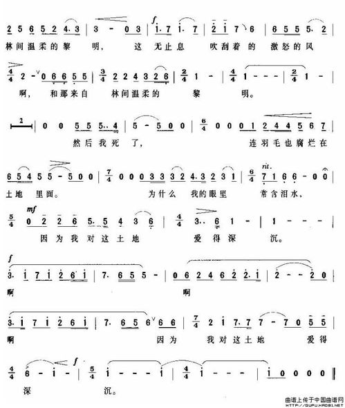 中国的土地?