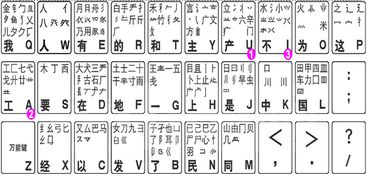 秩序的多音字
