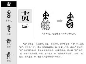 责组词和拼音