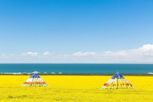青海湖海拔高度是多少
