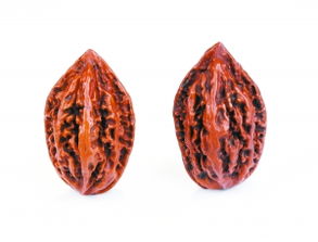 楸子和海棠的区别，楸子的食用方法