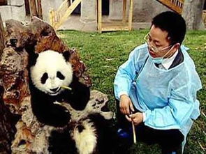 诗人张志和简介什么意思?近义词和反义词是什么?英文翻译是什么?_百度
