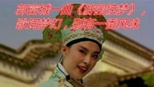 游园惊梦歌词银临，游园惊梦歌词特点