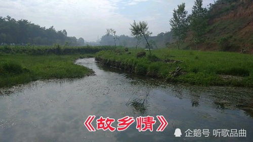 鲁迅的《故乡》原文是什么?