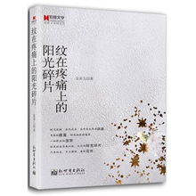 阳光碎片清响，阳光碎片小说全文免费阅读