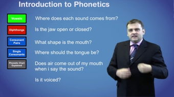 phonetics和phonology的区别，phoneticsymbols怎么翻译
