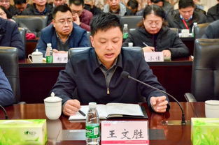 王文胜的个人简介