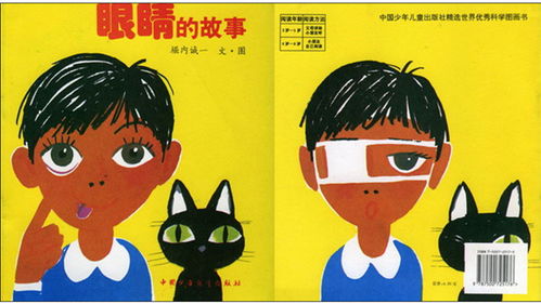 眼睛的故事作文800字初二，眼睛的故事500字作文