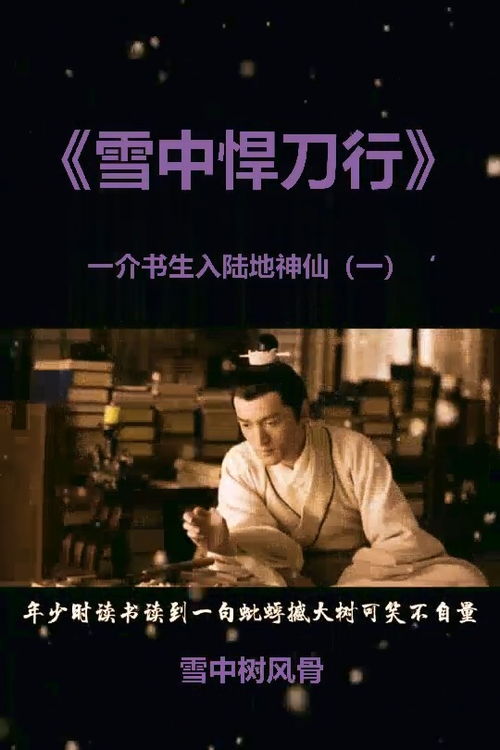 可笑不自量力的前一句是啥，蚍蜉撼大树,可笑不自量