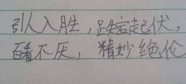 描写诸葛亮的四字词语