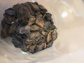 黑附片别名，黑附片可以用白附片吗