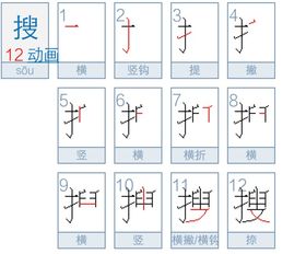 搜的笔画笔顺