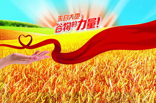 形容丰收的成语句子，形容丰收的成语abcc