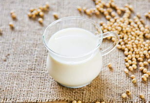豆浆英文soya怎么读，茉莉冰豆浆英文