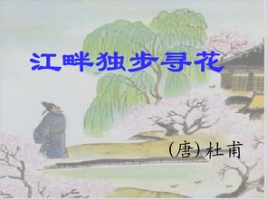 江畔独步寻花其七古诗带拼音，江畔独步寻花其七整首古诗的意思
