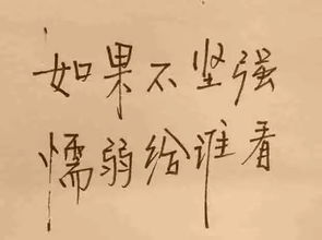 “我要的坚强” 是哪首歌的歌词?