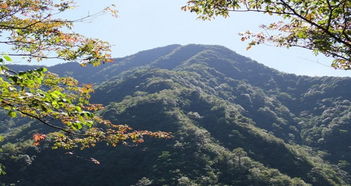 祁门天气预报七天准确，祁门天气预报7天