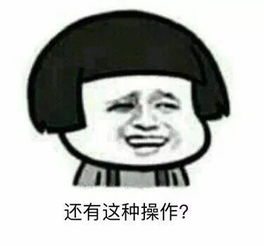 我的骄傲英文，我的骄傲容祖儿粤语