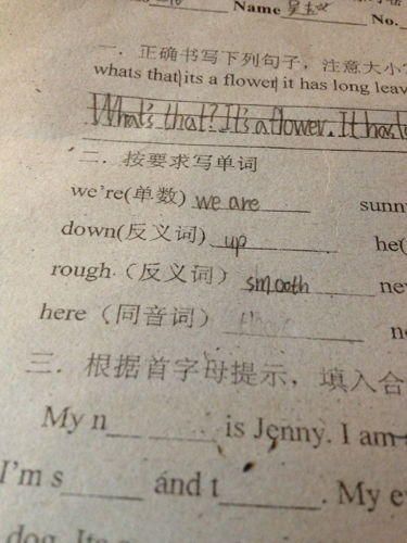 ice的c同音词有什么